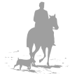 Horse Rider and dog